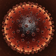 Ciri-ciri Hepatitis B