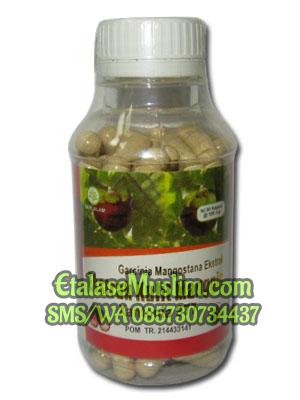 Ekstrak Kulit Manggis Xantonia 977 90kapsul