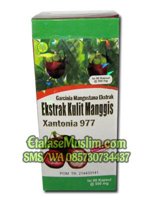 Ekstrak Kulit Manggis Xantonia 977 90kapsul