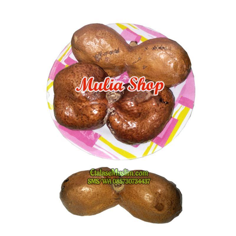 [1 Kg] Zuriat Zuriyat Doum KEMBAR (Dempet Dua) / Buah Adam Hawa