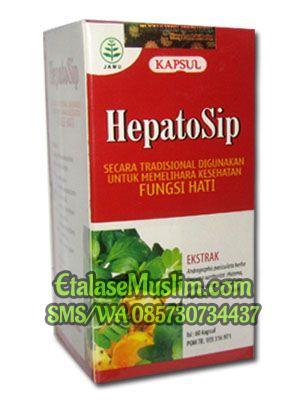 Kapsul Ekstrak HEPATOSIP (Hepatitis)