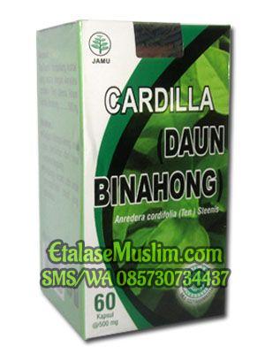 Kapsul Cardilla Daun Binahong Al-Ghuroba'