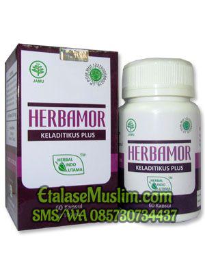 Herbamor (Keladi Tikus Plus, Herbal untuk Tumor) Herbal Indo Utama