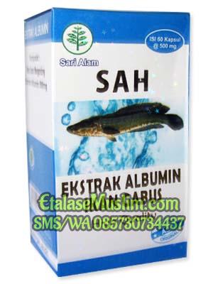 SAH Ekstrak Albumin Ikan Gabus 60kapsul