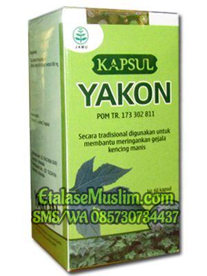 Kapsul Yakon (Kencing Manis) 60 Kapsul Tazakka