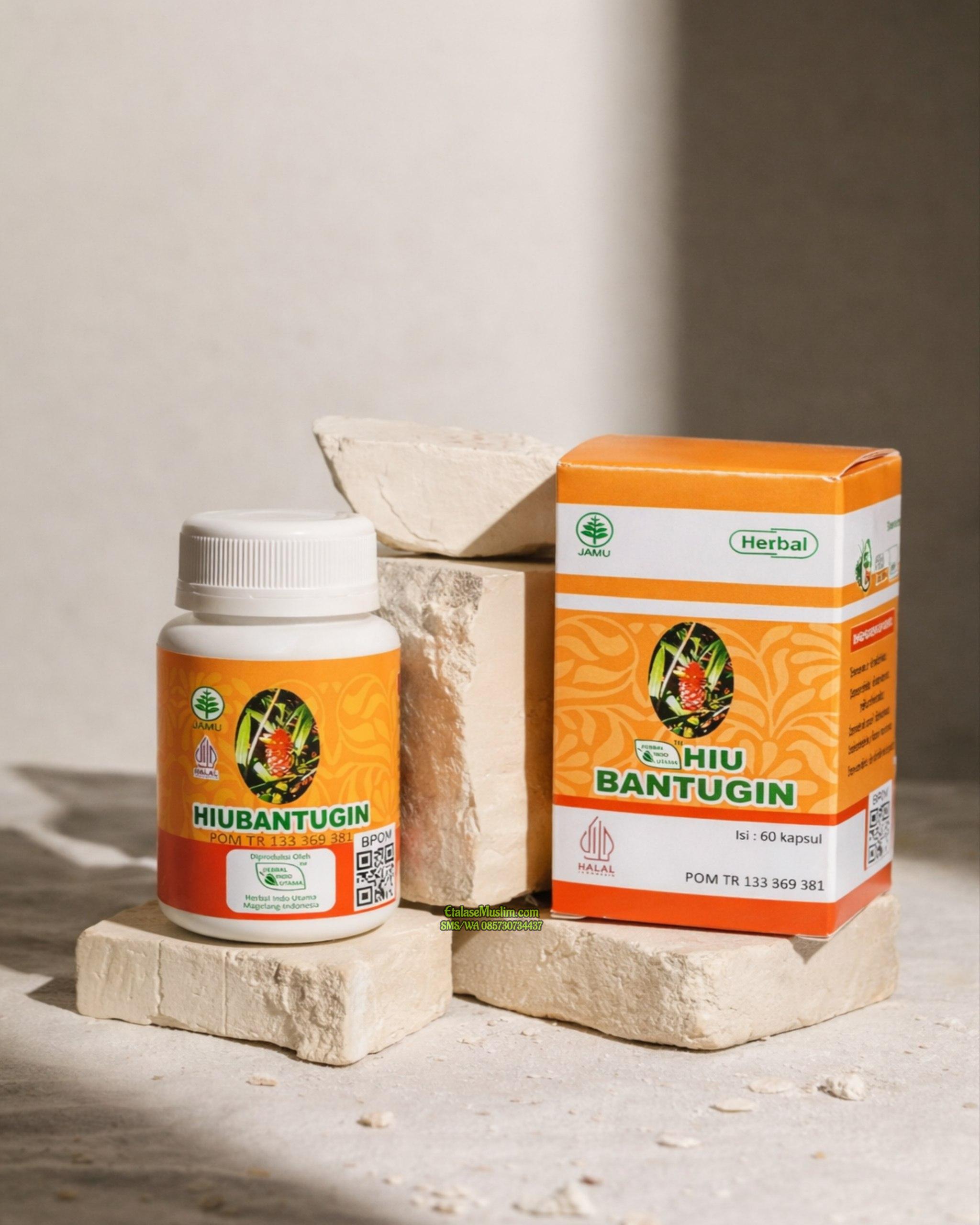 HIU BANTUGIN (Herba Batu Ginjal) Herbal Indo Utama