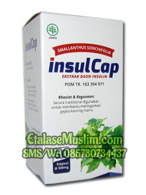 Insulcap Ekstrak Daun Insulin 50kapsul