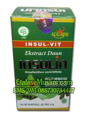 Insul-vit Ekstract Daun Insulin  Isi 60 Kapsul