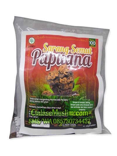 Sarang Semut Papuana Curah 100 gram