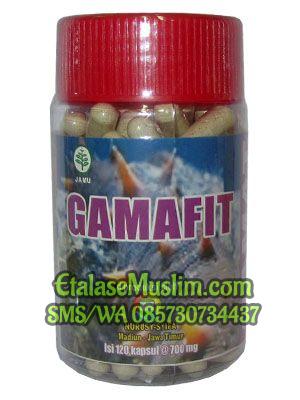 Gamafit 120 Kapsul (Gamat 100%)