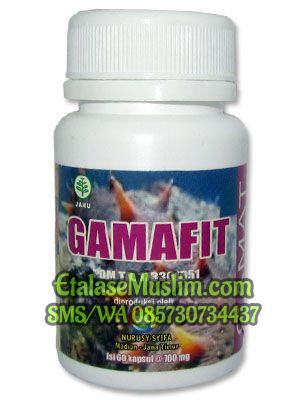 Gamafit 60 Kapsul (Gamat 100%)